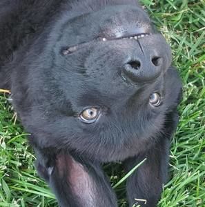 Meet your Posher, Janel